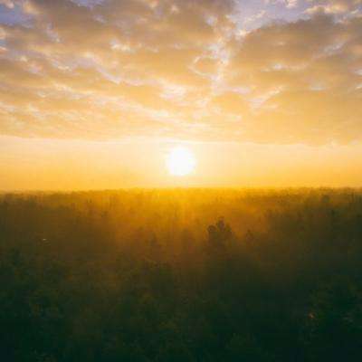 半岛·综合体育下载手机版