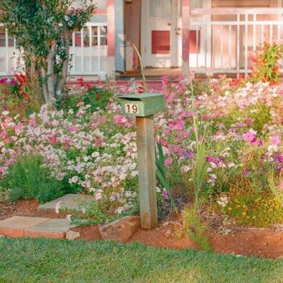 乐鱼体育手机app下载